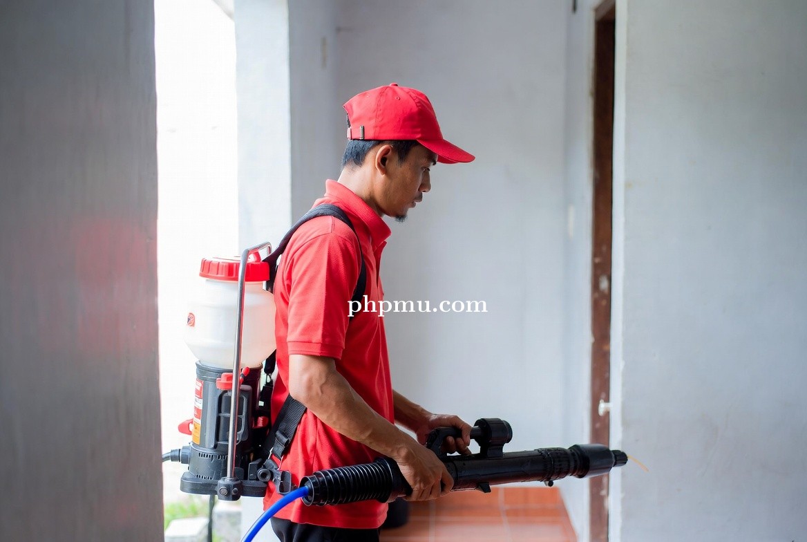 Jasa Pembasmi Rayap Cepat dan Tepat Sasaran